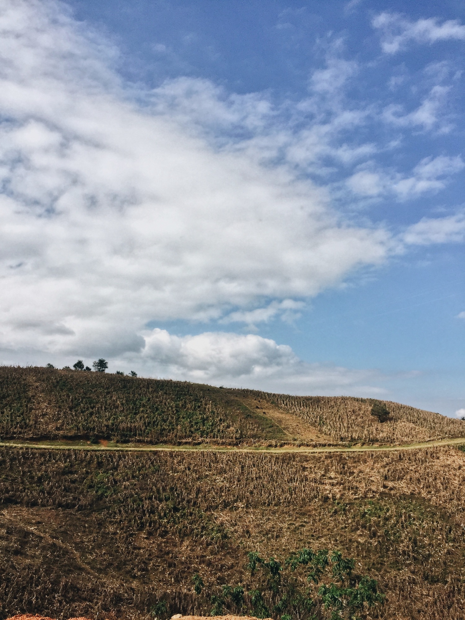 A view off the hill